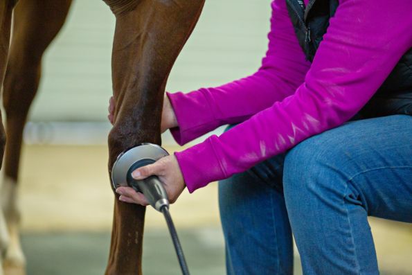 Close up of a vet tech cleaning a horse's hoof